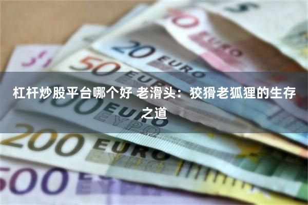 杠杆炒股平台哪个好 老滑头：狡猾老狐狸的生存之道