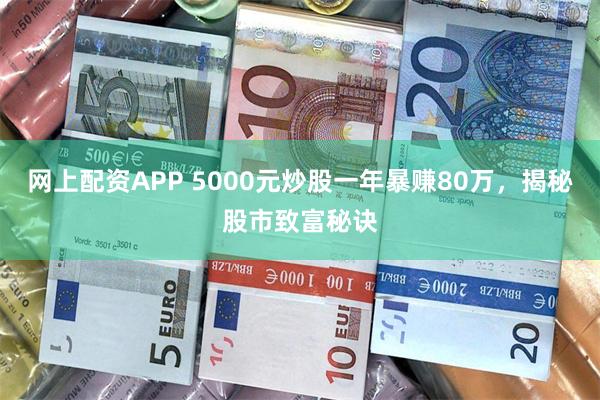 网上配资APP 5000元炒股一年暴赚80万，揭秘股市致富秘诀
