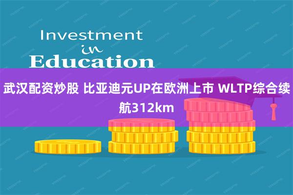 武汉配资炒股 比亚迪元UP在欧洲上市 WLTP综合续航312km