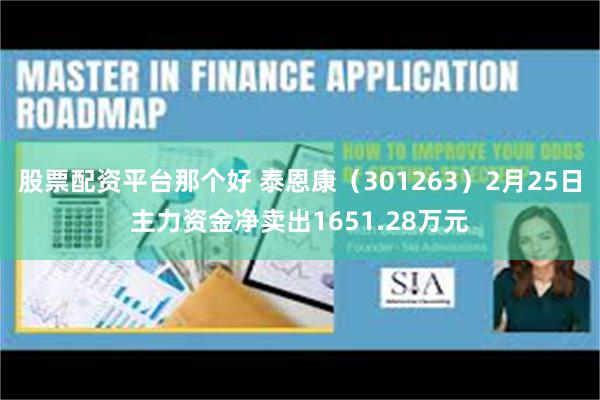 股票配资平台那个好 泰恩康（301263）2月25日主力资金净卖出1651.28万元