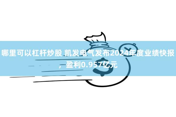 哪里可以杠杆炒股 凯发电气发布2024年度业绩快报，盈利0.957亿元