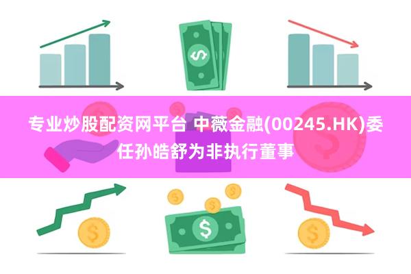 专业炒股配资网平台 中薇金融(00245.HK)委任孙皓舒为非执行董事