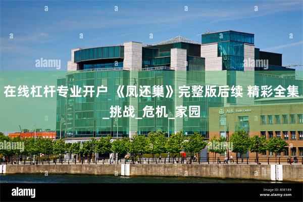 在线杠杆专业开户 《凤还巢》完整版后续 精彩全集_挑战_危机_家园