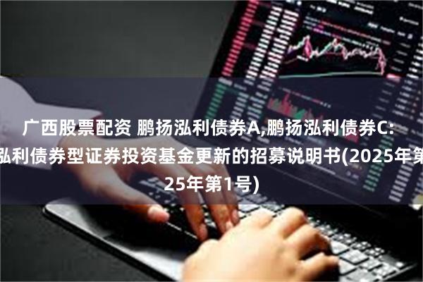 广西股票配资 鹏扬泓利债券A,鹏扬泓利债券C: 鹏扬泓利债券型证券投资基金更新的招募说明书(2025年第1号)