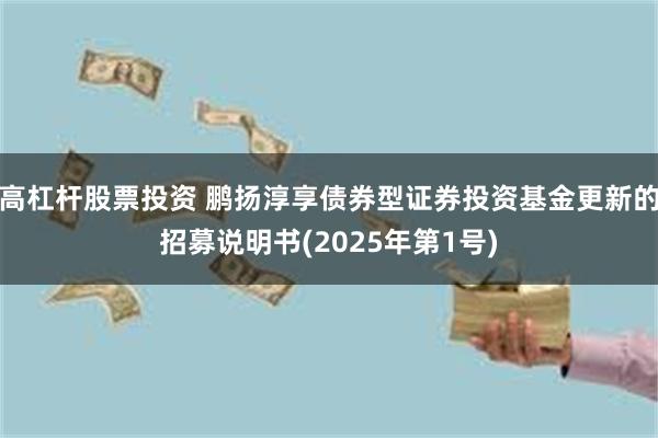 高杠杆股票投资 鹏扬淳享债券型证券投资基金更新的招募说明书(2025年第1号)