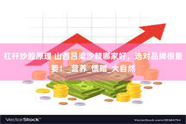 杠杆炒股原理 山西吕梁沙棘哪家好，选对品牌很重要！_营养_馈赠_大自然