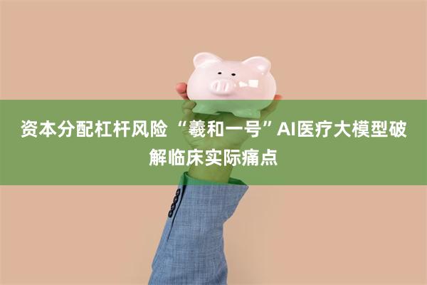 资本分配杠杆风险 “羲和一号”AI医疗大模型破解临床实际痛点